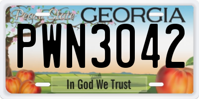 GA license plate PWN3042