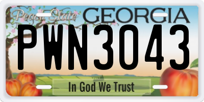 GA license plate PWN3043