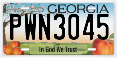 GA license plate PWN3045