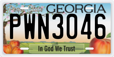 GA license plate PWN3046
