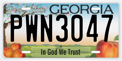GA license plate PWN3047