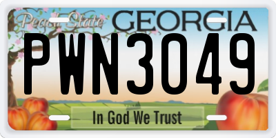 GA license plate PWN3049