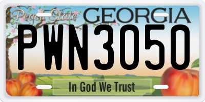 GA license plate PWN3050