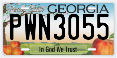 GA license plate PWN3055