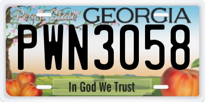 GA license plate PWN3058