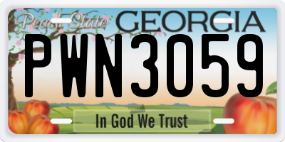 GA license plate PWN3059