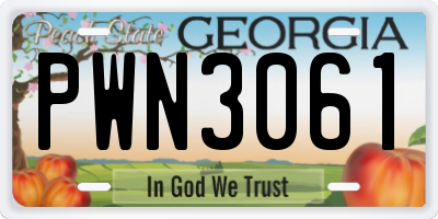 GA license plate PWN3061