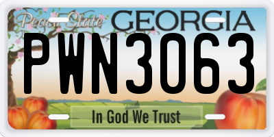GA license plate PWN3063