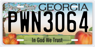 GA license plate PWN3064