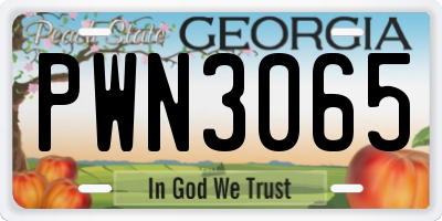 GA license plate PWN3065