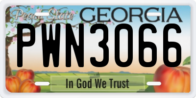 GA license plate PWN3066