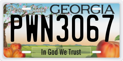 GA license plate PWN3067