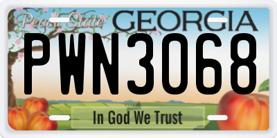 GA license plate PWN3068