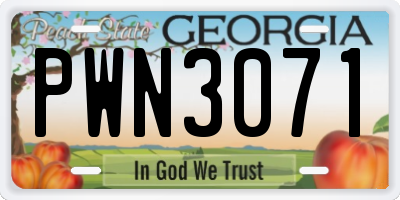 GA license plate PWN3071