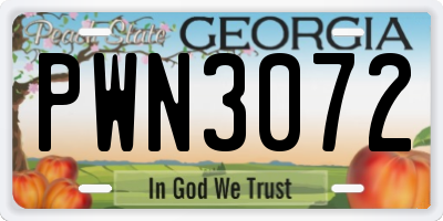GA license plate PWN3072