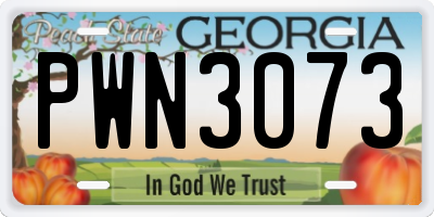 GA license plate PWN3073