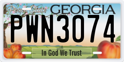 GA license plate PWN3074
