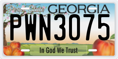 GA license plate PWN3075