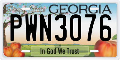 GA license plate PWN3076