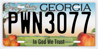 GA license plate PWN3077