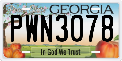 GA license plate PWN3078