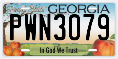 GA license plate PWN3079