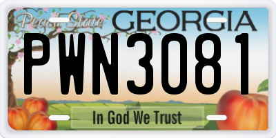 GA license plate PWN3081
