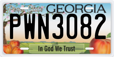 GA license plate PWN3082