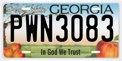 GA license plate PWN3083