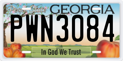 GA license plate PWN3084