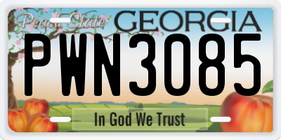 GA license plate PWN3085