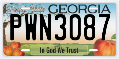 GA license plate PWN3087