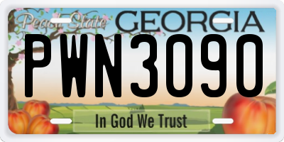 GA license plate PWN3090