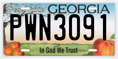 GA license plate PWN3091