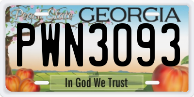 GA license plate PWN3093