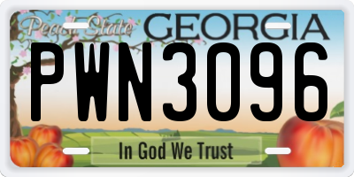 GA license plate PWN3096