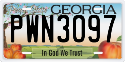 GA license plate PWN3097