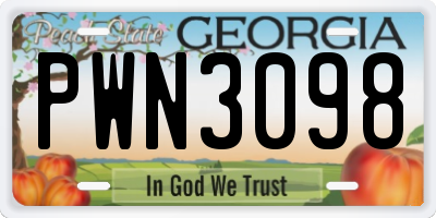 GA license plate PWN3098