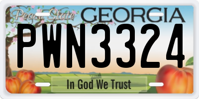 GA license plate PWN3324