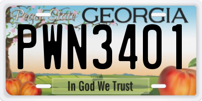 GA license plate PWN3401