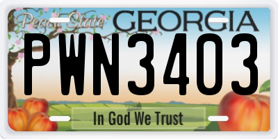 GA license plate PWN3403