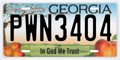 GA license plate PWN3404