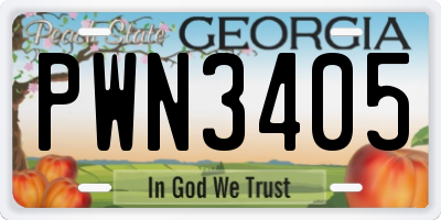 GA license plate PWN3405