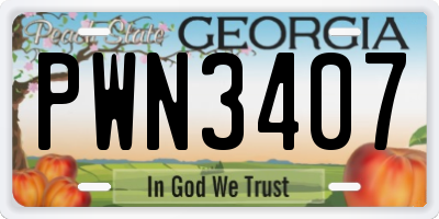 GA license plate PWN3407