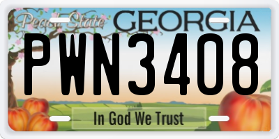 GA license plate PWN3408
