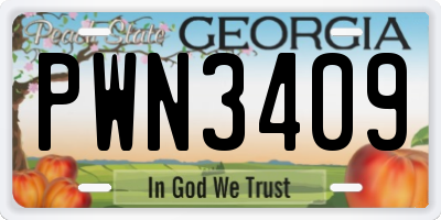 GA license plate PWN3409