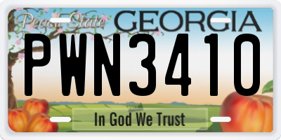 GA license plate PWN3410