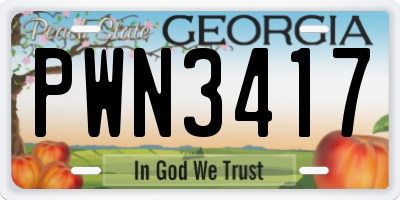 GA license plate PWN3417