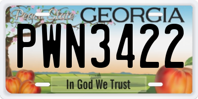 GA license plate PWN3422
