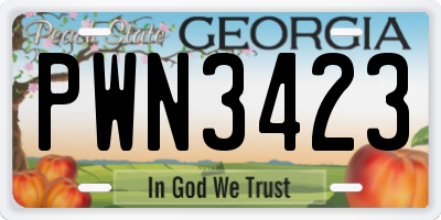 GA license plate PWN3423